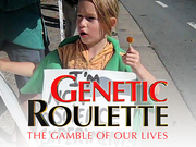 GeneticRouletteGamble video link